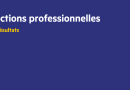 Elections professionnelles : les résultats