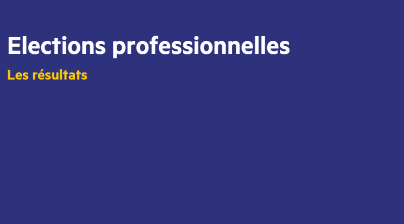 Elections professionnelles : les résultats